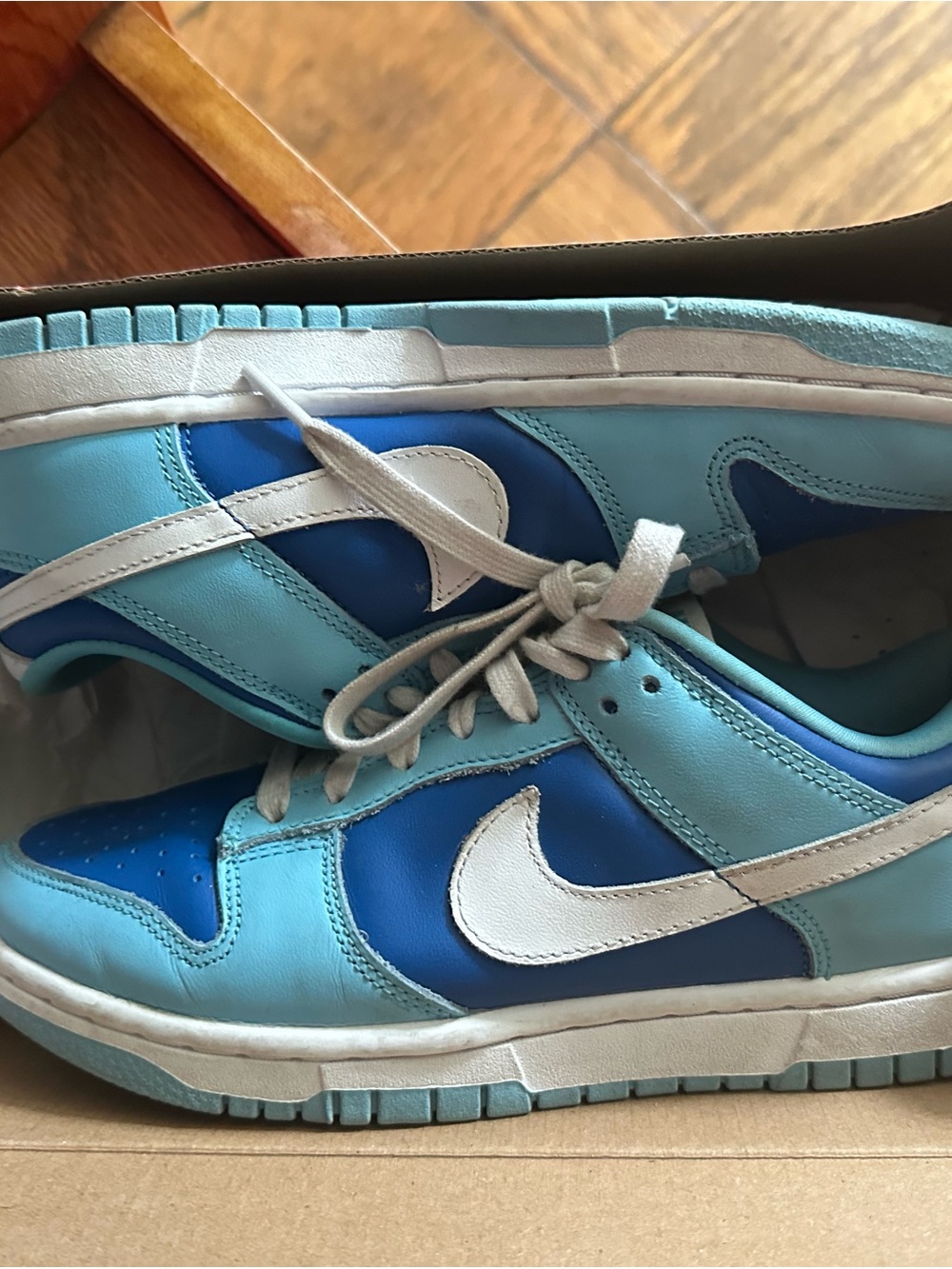 Nike Light Blue and Royal Blue Low Top Sneakers